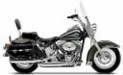 Softail Harley Davidson motorbike for rent