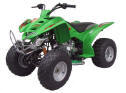Hire a quad bike in Pafos or take an organised quad bike tour